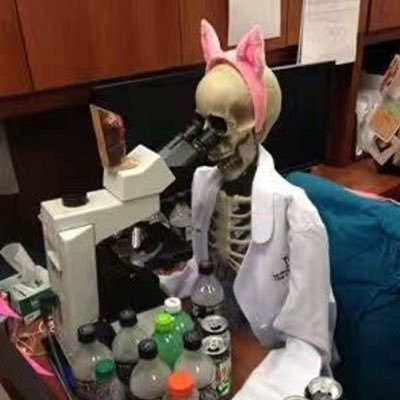 aremti23's profile picture. rmt eraaa!!!