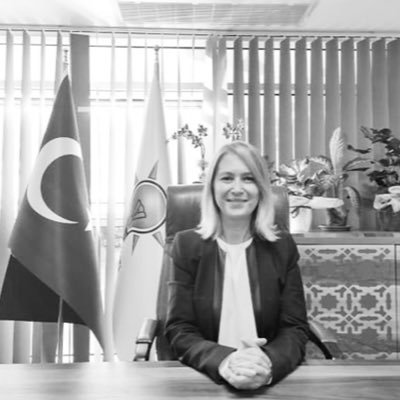 Yeminli Tercüman/
2018-2020 AK Parti Karşıyaka İlçe Bşk. Yrd./
2020-2023 AK Parti Karşıyaka İlçe Başkanı