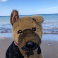 Oakley’s Plush Rescue (@plushierus) 's Twitter Profile