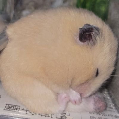 kowanamama's profile picture. シングルマザー歴17年。
大きいくなって手がかからなくなった
年頃の子3人もつはずの母やってます。

filmarksにて視聴チェックしているのもシェアはじめました。