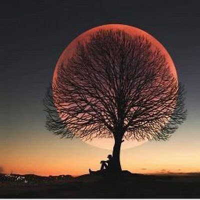 VikramadityaVI's profile picture. 