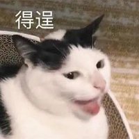 北纬38度热恋中 (@hmrhcr) 's Twitter Profile