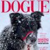 Pet Magazine Covers (@petmagcovers) Twitter profile photo Pet Magazine Covers (@petmagcovers) Twitter profile photo