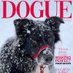 Pet Magazine Covers (@PetMagCovers) Twitter profile photo