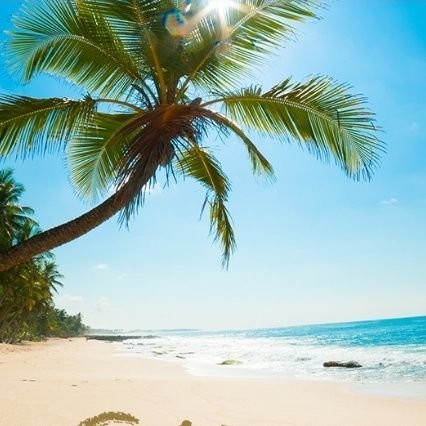 CGee65's profile picture. Living life with my love ones