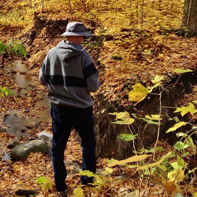 Roy_Jakola's profile picture. If you can understand it, it's not poetry