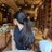 janvi__307's profile image