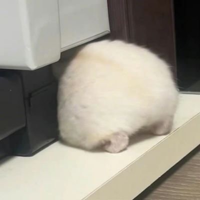 viaowoさんのプロフィール画像