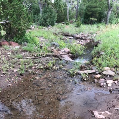 jdd308's profile picture. 