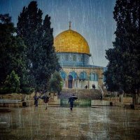 ABDU (@3bdu71) 's Twitter Profile
