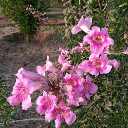 prasannakrs85's profile picture. 