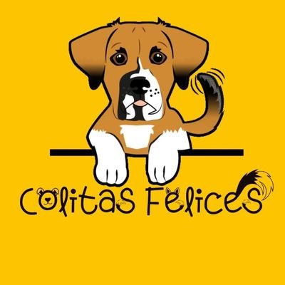 ¡Rescatamos perritos! 💛 Bogotá, Colombia 📍 Fundación de +130 perros 🐶 ¿Te unes a nuestra misión? ⬇️