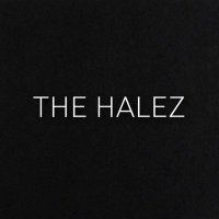 The Halez (@thehalez101) 's Twitter Profile