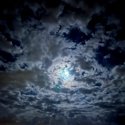 zeko_fady's profile picture. 