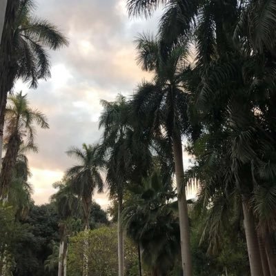 maze_alwan's profile picture. 