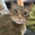 parker (@_______parker) Twitter profile photo parker (@_______parker) Twitter profile photo