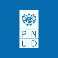 PNUD Paraguay (@pnudparaguay) 's Twitter Profile Photo PNUD Paraguay (@pnudparaguay) 's Twitter Profile Photo