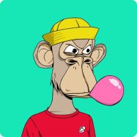 0xAndre ❤️ Memecoin (@andre_f65) 's Twitter Profile