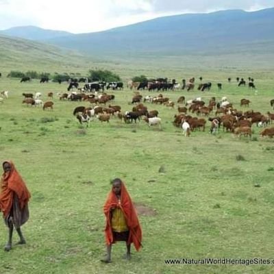 Bachelor of Environmental study from University of Dodoma,|Climate change advocate| environmental activist and Nature protectors| Human right defender|