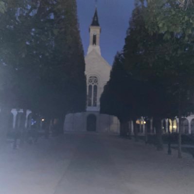 friandiz225's profile picture. 