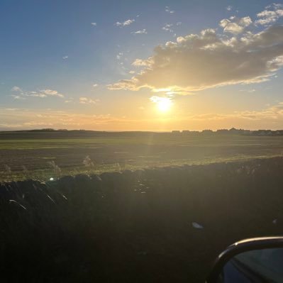 jojojooc's profile picture. 