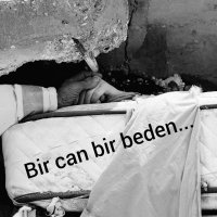 🤗eymencik🤗 (@4eymn) 's Twitter Profile