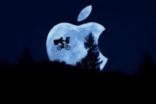 mom797's profile picture. 