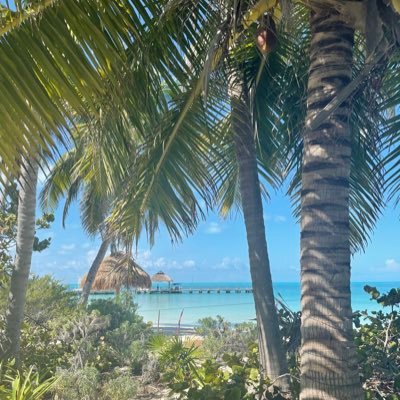 lachapelure's profile picture. 