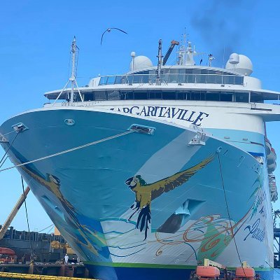 Margaritaville at Sea Paradise features 10 passenger decks and 659 cabins with various stateroom categories. Book passage TODAY! #SALTLIFE *THIS IS A FAN PAGE*