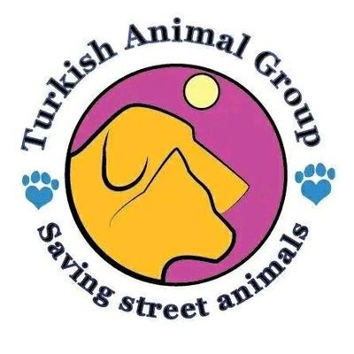 Helping street animals for better support and survival.