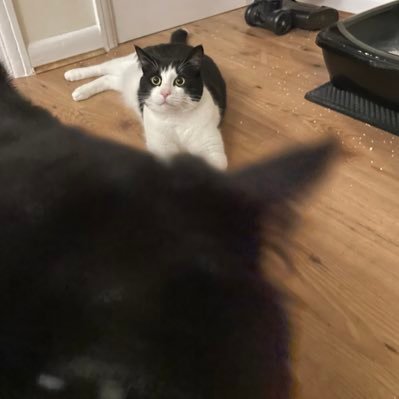 nango79's profile picture. Routine based Nangness.