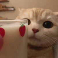 berrynim (@cucustobeli) 's Twitter Profile