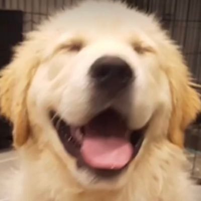karambaio's profile picture. 