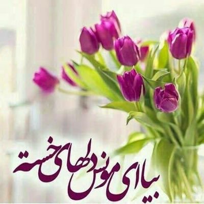 RafieiMehri's profile picture. منتظران ظهور
عاشق سیدالشهدا