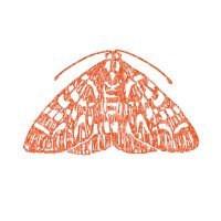 The Moth (@themoth) 's Twitter Profile