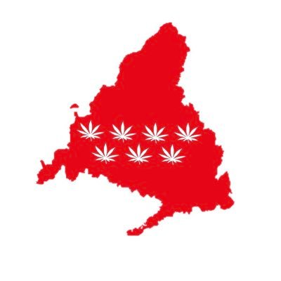 querido porro solo escribo cuando fumo, asi que haceos una idea