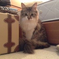kat (@kat_710210) 's Twitter Profile Photo kat (@kat_710210) 's Twitter Profile Photo