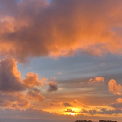 riotwitheyebags's profile picture. 25 she/her gw:115