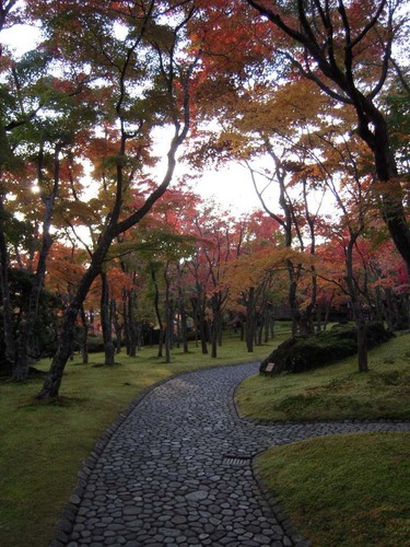 箱根美術館は、1952年に開館しました。萩や紅葉、苔など四季折々に美しい姿を見せる庭園「神仙郷」と縄文土器、埴輪、猿投、六古窯、美濃等の日本のやきものを展示。
※箱根登山鉄道強羅駅から、ケーブルカー「公園上駅」下車すぐ／木曜休館／入場料一般900円、高大生400円／小中学生無料