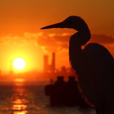 mako99ichi's profile picture. 今年の抱負/自分らしく🤗チャレンジ/タイムマネジメント🤔このアプリで修行中/BlueBird🐦