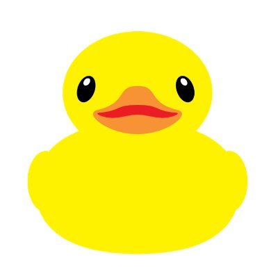 Rubber Ducky Labs (YC W23) Profile
