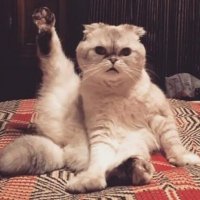 taylor (@wishescametrue) 's Twitter Profile Photo taylor (@wishescametrue) 's Twitter Profile Photo