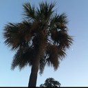 Jody Barr - @palmettopurpose - Twitter