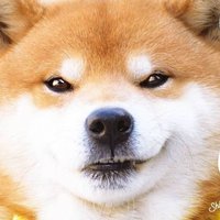 モフ次郎☆@鳴潮 (@jkvaecawk06rofp) 's Twitter Profile