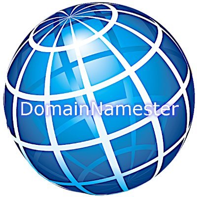 DomainNamesters Profile Picture