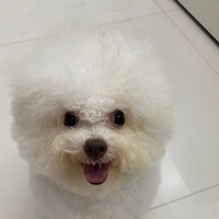 min bernardo (@min_bernardo) 's Twitter Profile Photo min bernardo (@min_bernardo) 's Twitter Profile Photo