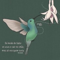 Telma Corrêa (@telmacorrea13) 's Twitter Profile