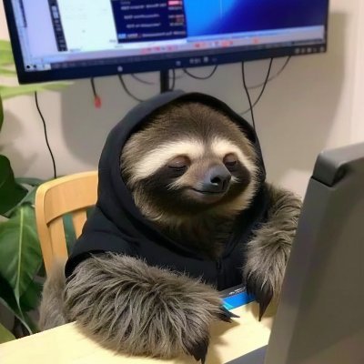 slothdev2021's profile picture. Web3 Ethereum Developer
