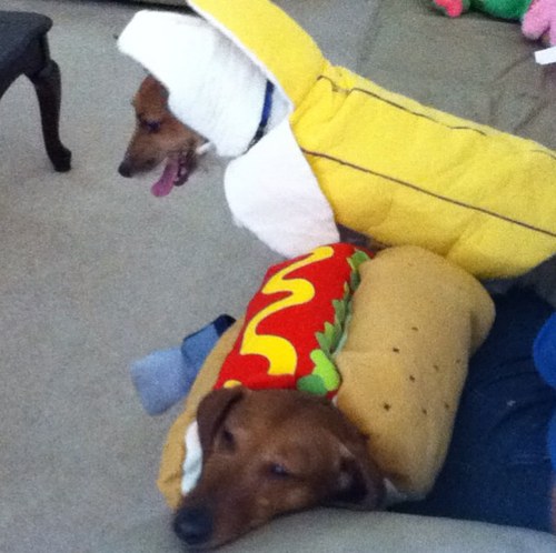 j0ecarino's profile picture. 