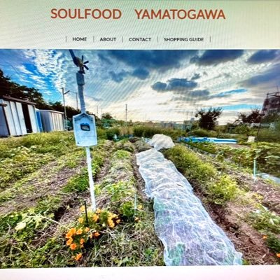 いきものと共生する畑で生物多様性に取り組みながら自然農法で体に優しい野菜作りをしています。時々畑や収穫の風景をアップしてます「soul」は魂、精神、心といった意味で、魂のこもった野菜、食材を提供します。世界で最初に飢えるのは日本にならないように頑張るぞ。instagram→ soulfood_ymtgw